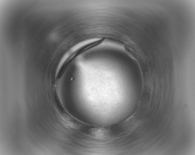 X0000066090074200603101217