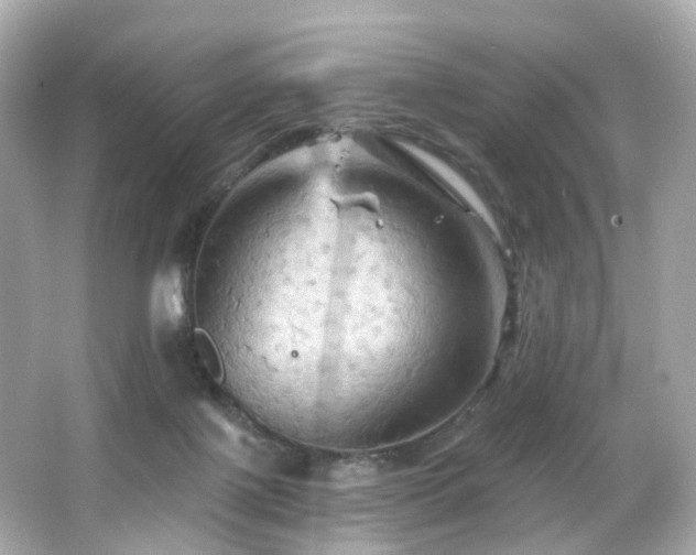 X0000066090075200603101217