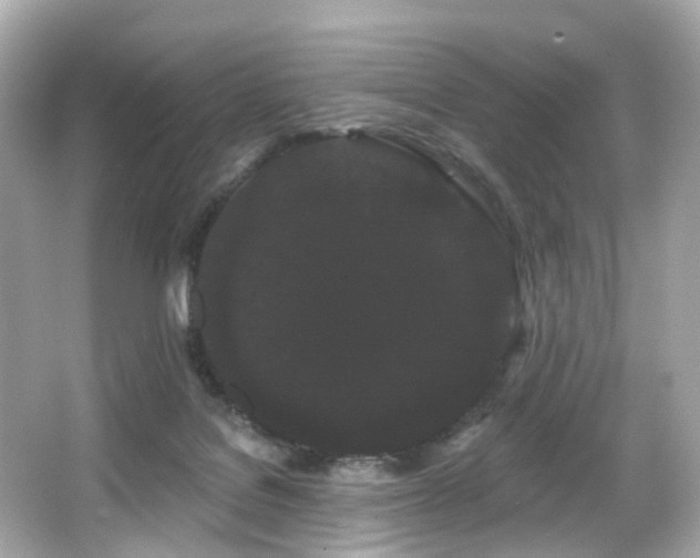 X0000066090076200603101217