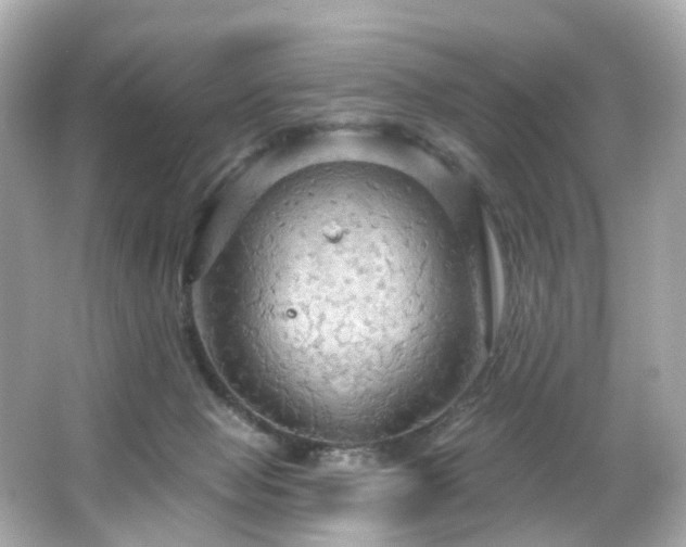 X0000066090077200603101217