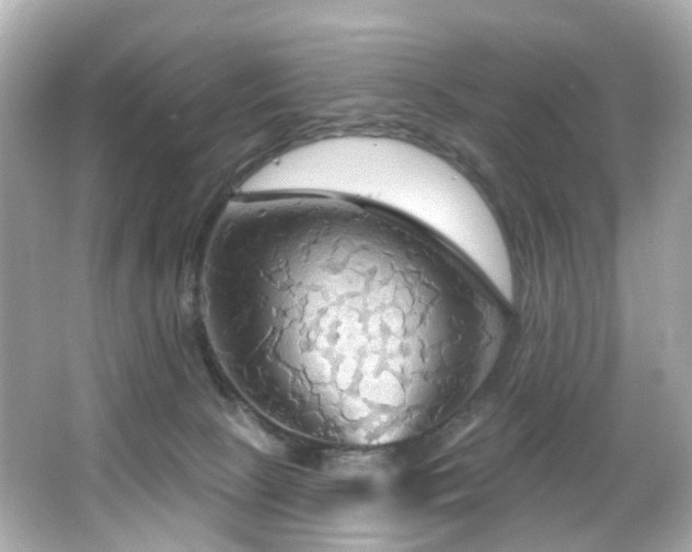 X0000066090081200603101217