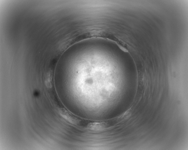 X0000066090082200603101217