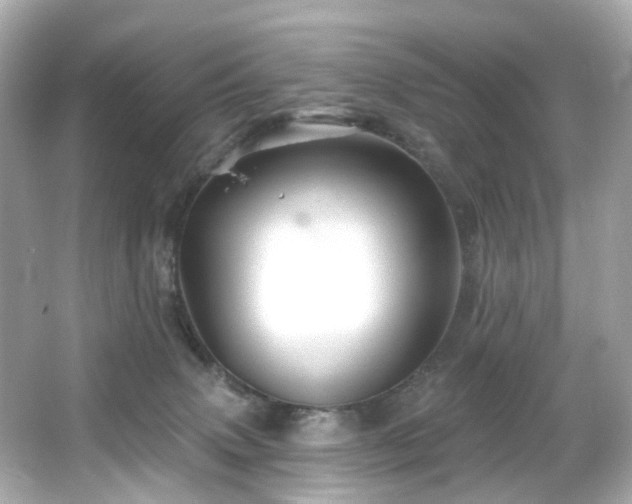 X0000066090083200603101217