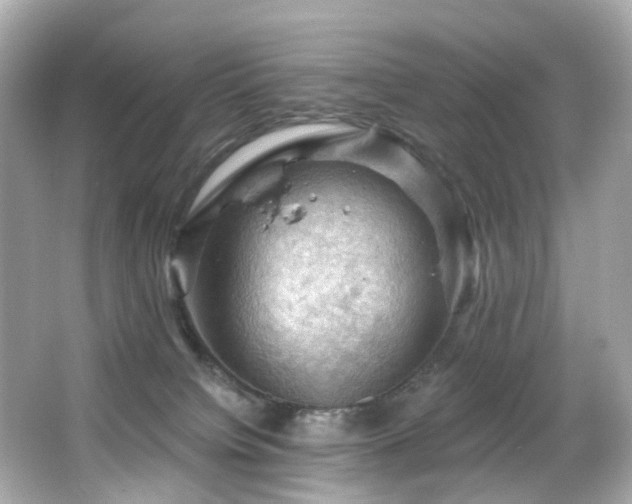 X0000066090084200603101217