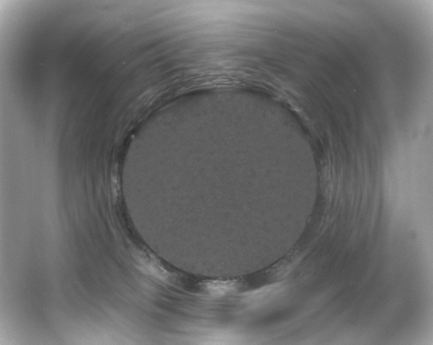 X0000066090085200603101217