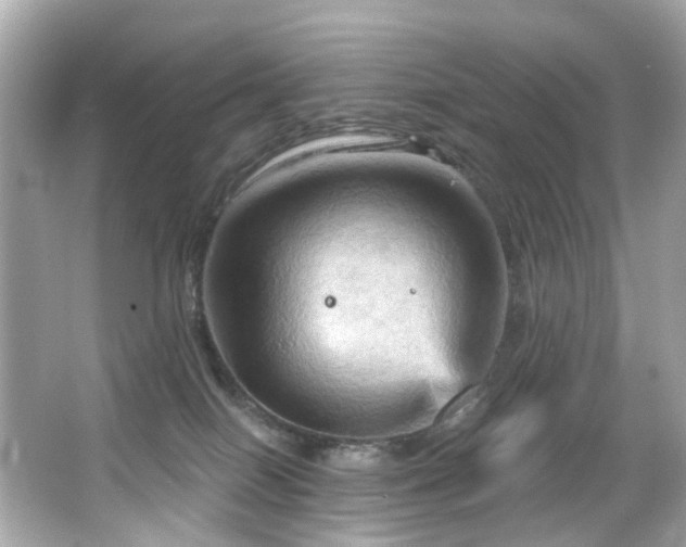 X0000066090086200603101217