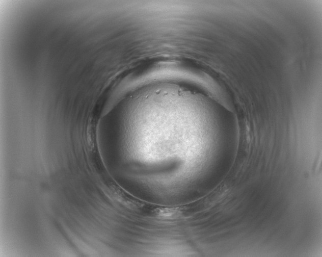 X0000066090088200603101217