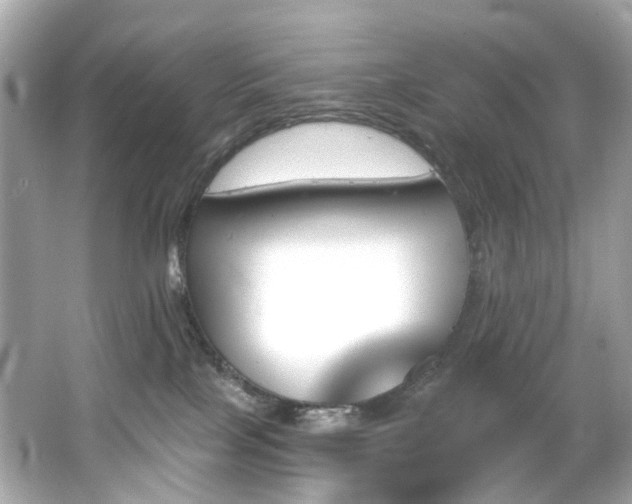 X0000066090089200603101217