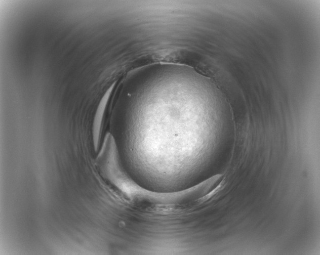 X0000066090090200603101217