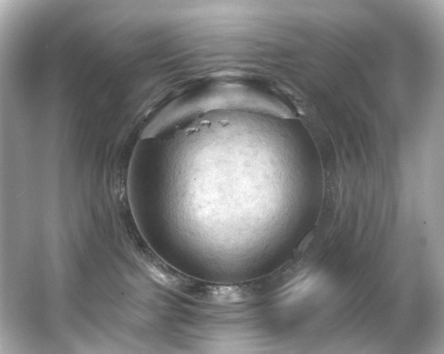 X0000066090091200603101217