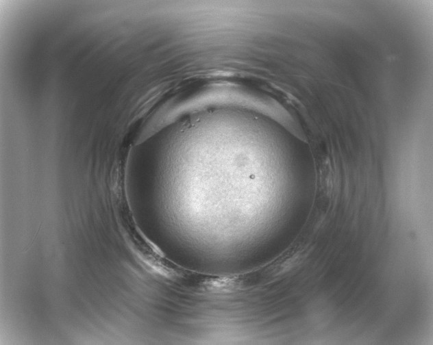 X0000066090092200603101217