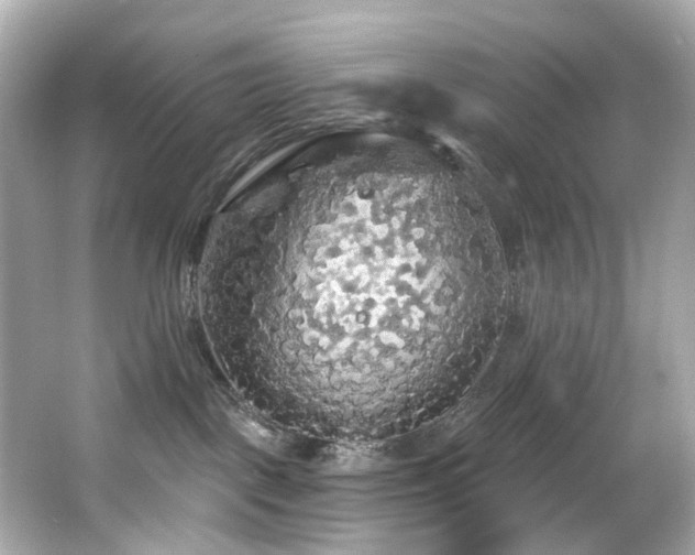 X0000066090093200603101217