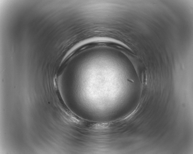 X0000066090094200603101217