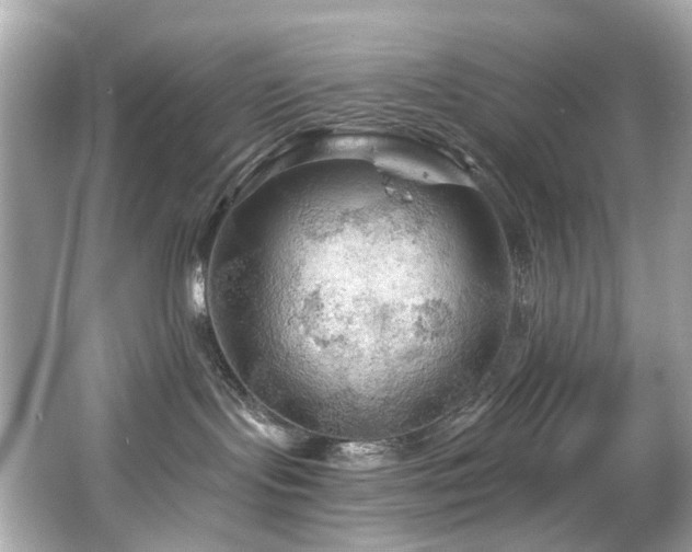 X0000066090095200603101217