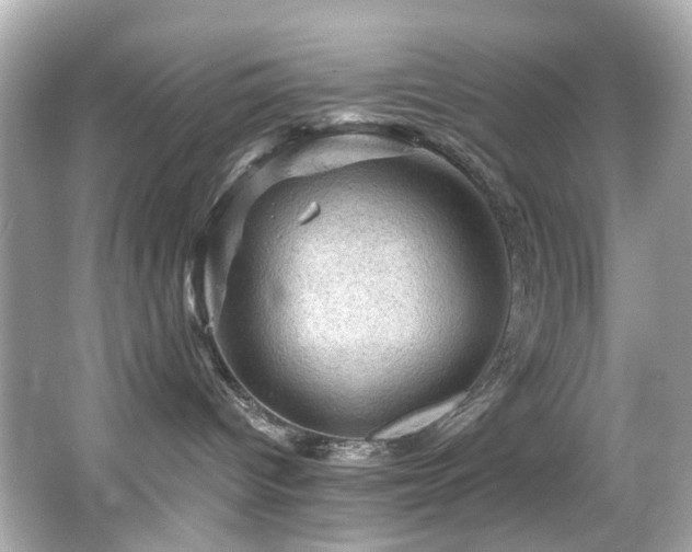 X0000066090096200603101217