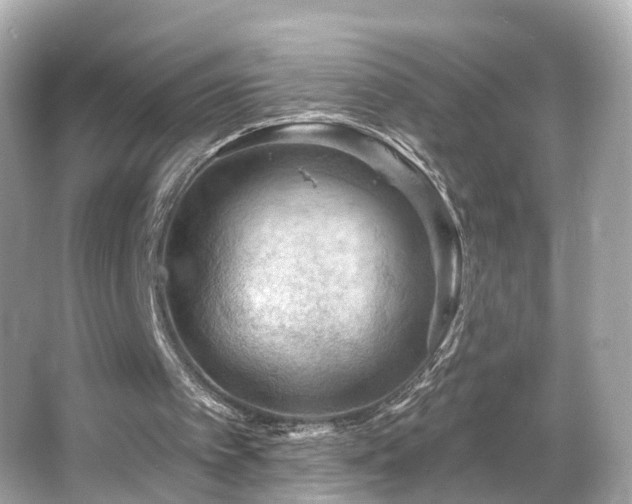 X0000066090097200603101216