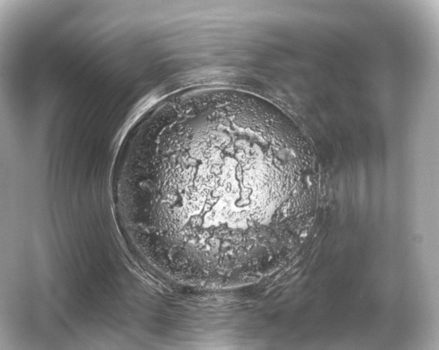 X0000066090099200603101216