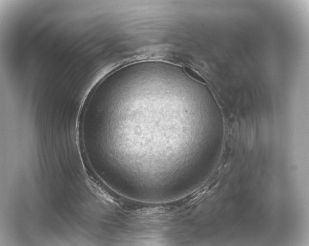 X0000066090100200603101216