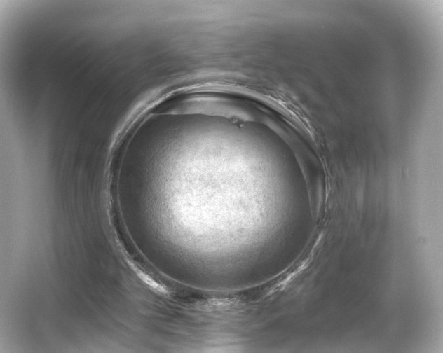 X0000066090101200603101216