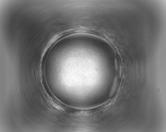 X0000066090102200603101216