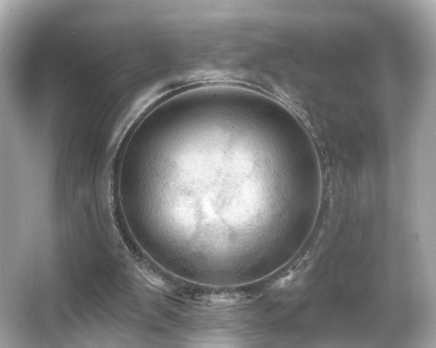 X0000066090103200603101216