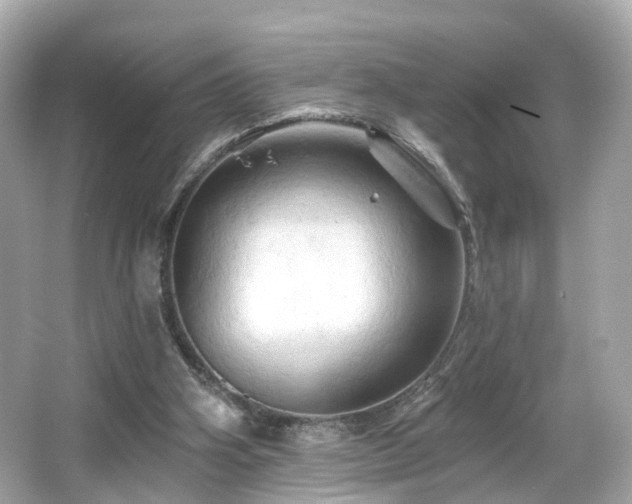 X0000066090106200603101216