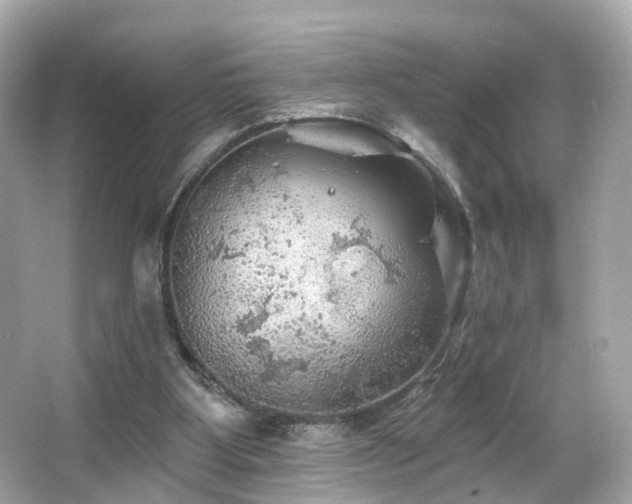 X0000066090107200603101216