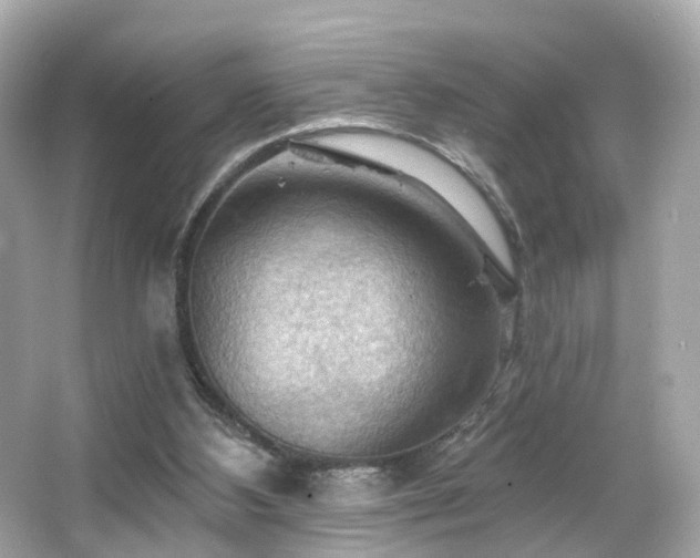 X0000066090108200603101216