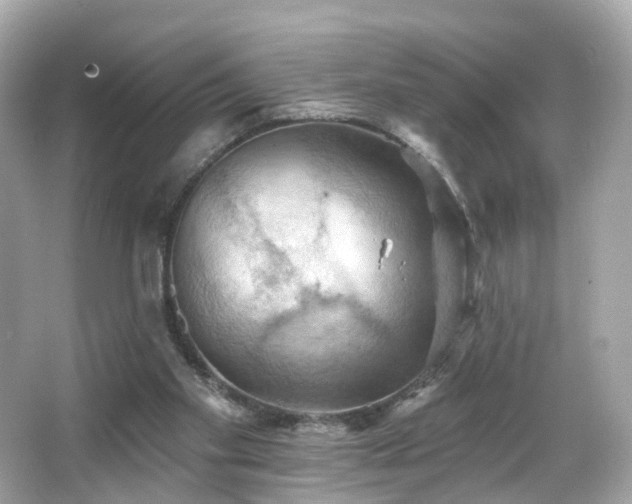 X0000066090109200603101216