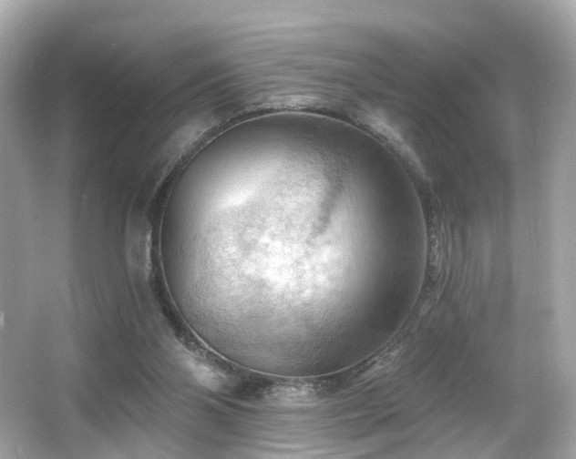 X0000066090110200603101216