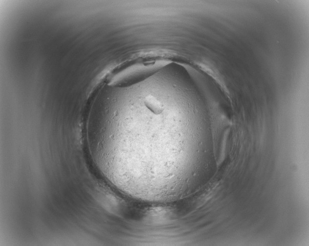 X0000066090111200603101216