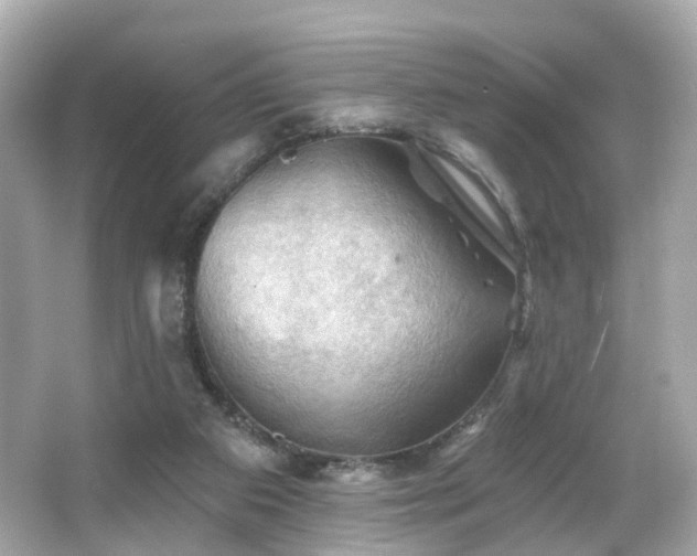 X0000066090113200603101216