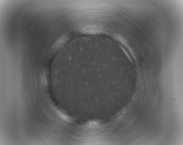 X0000066090114200603101216