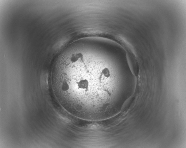 X0000066090115200603101216