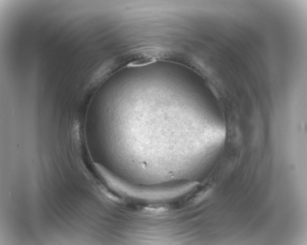 X0000066090117200603101216