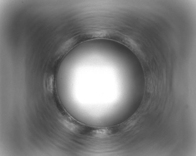 X0000066090118200603101216