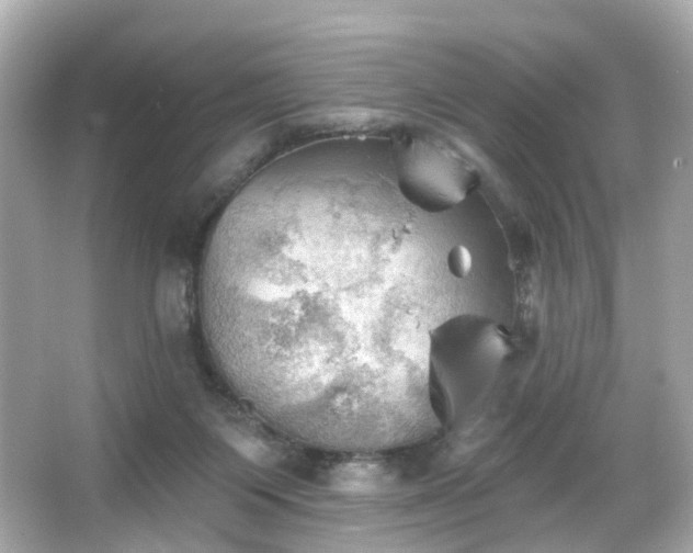 X0000066090119200603101216