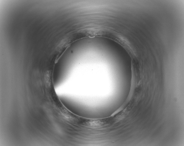 X0000066090121200603101216