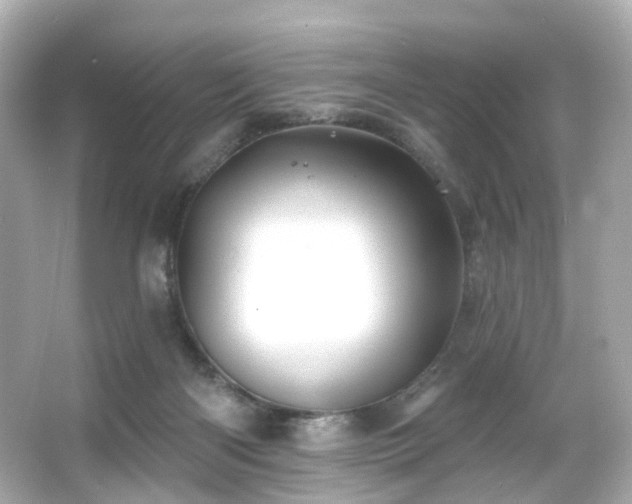 X0000066090122200603101216