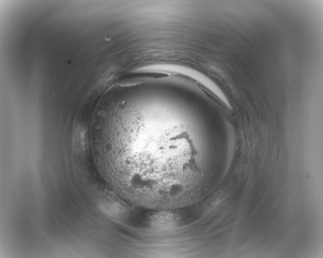 X0000066090123200603101216