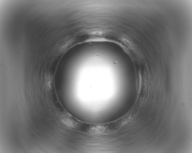 X0000066090125200603101216