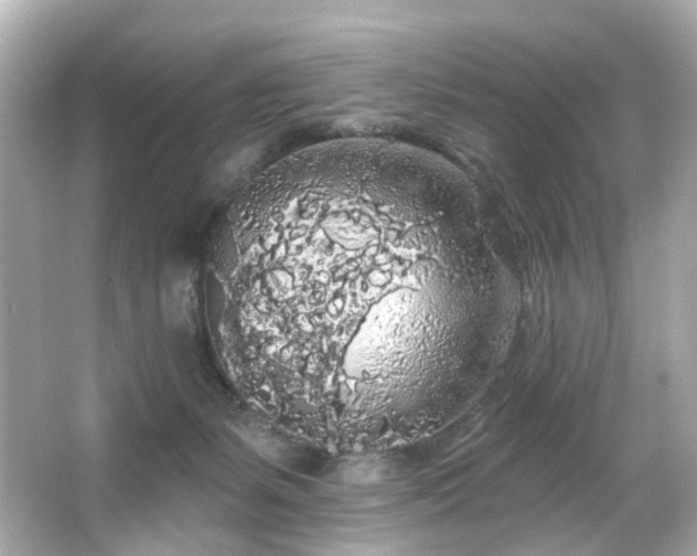 X0000066090127200603101216