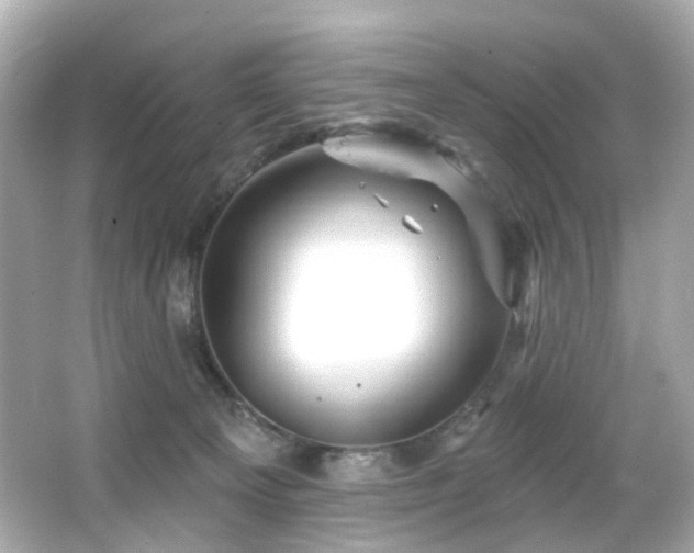 X0000066090129200603101216