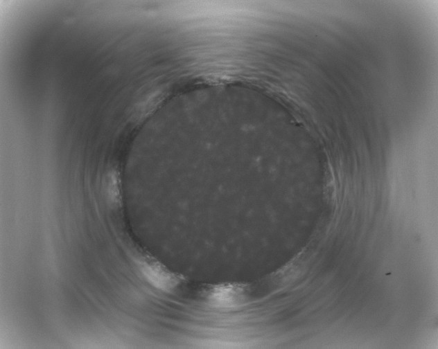 X0000066090130200603101216