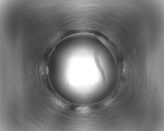 X0000066090133200603101216