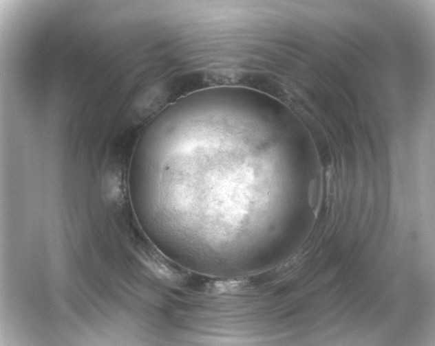 X0000066090134200603101216