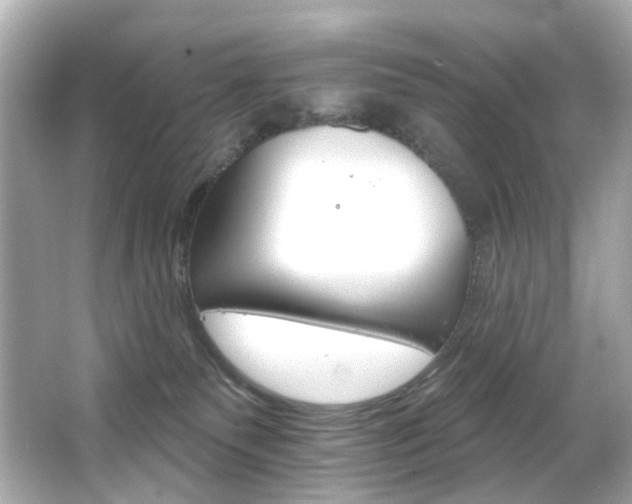 X0000066090135200603101216