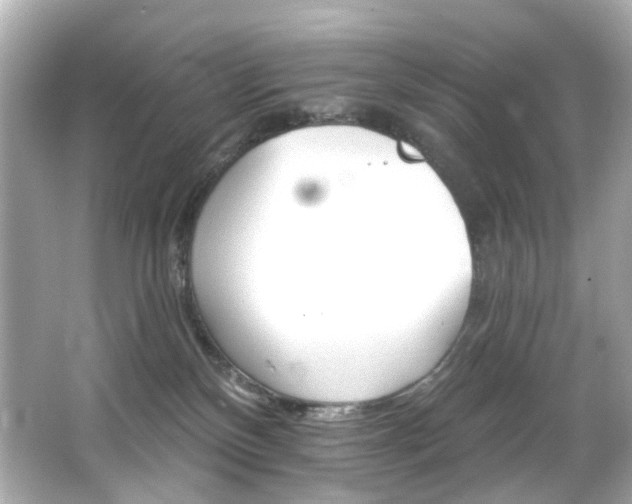 X0000066090136200603101216