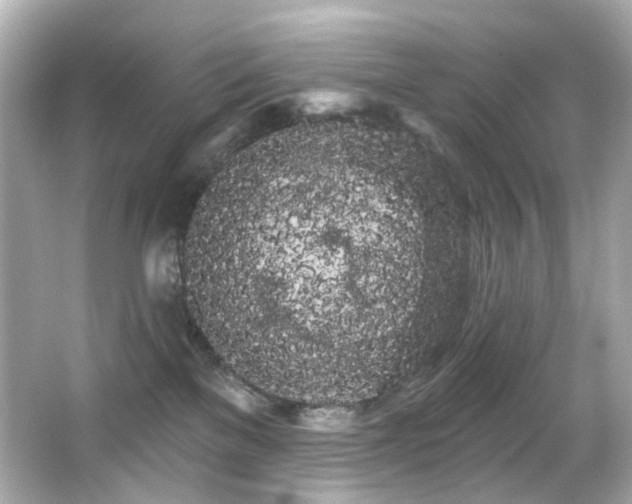 X0000066090137200603101216