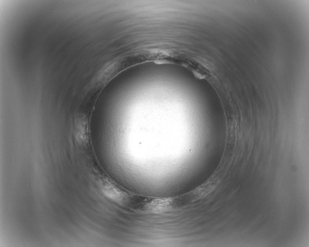 X0000066090138200603101216